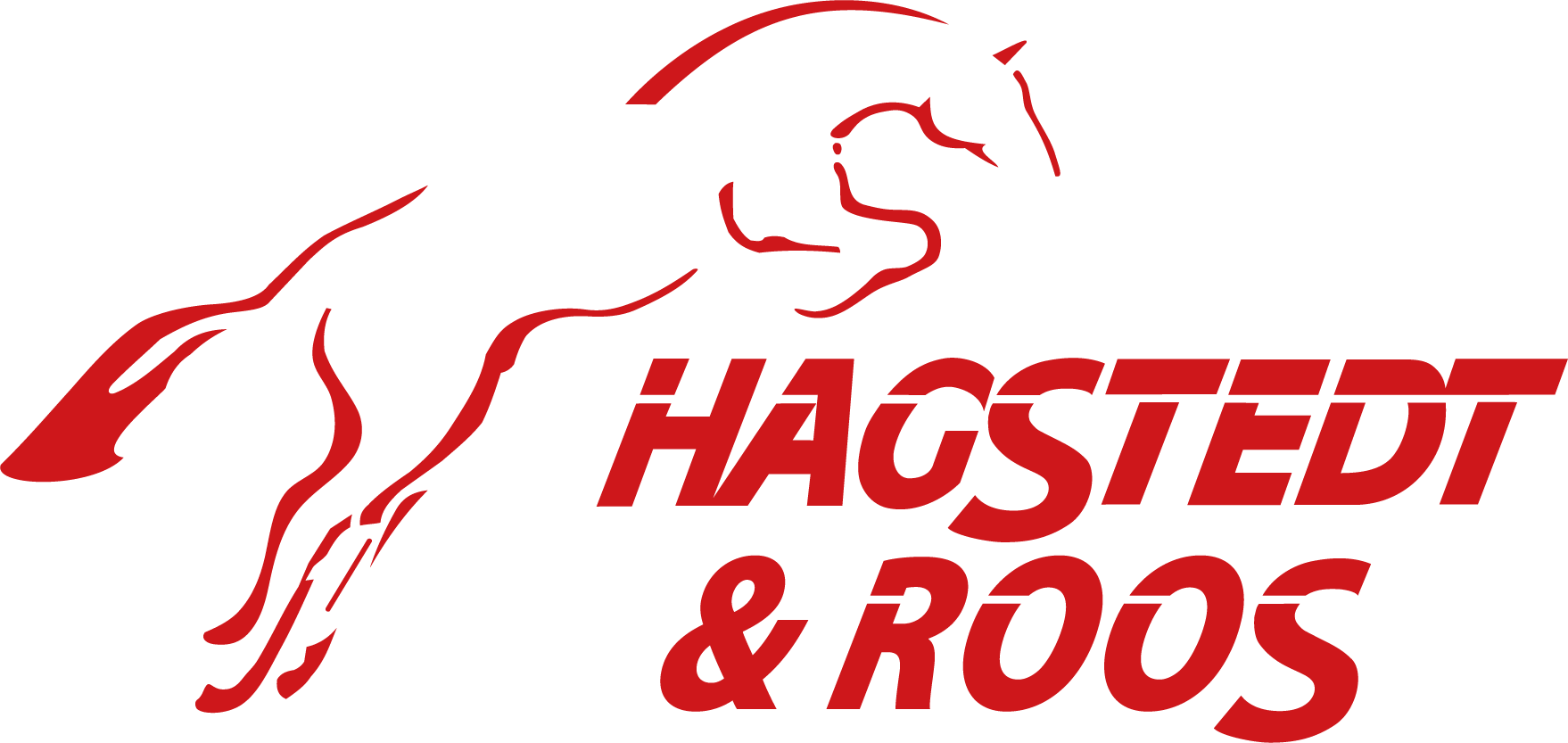 Pferdetransporter von Hagstedt & Roos | Ganderkesee