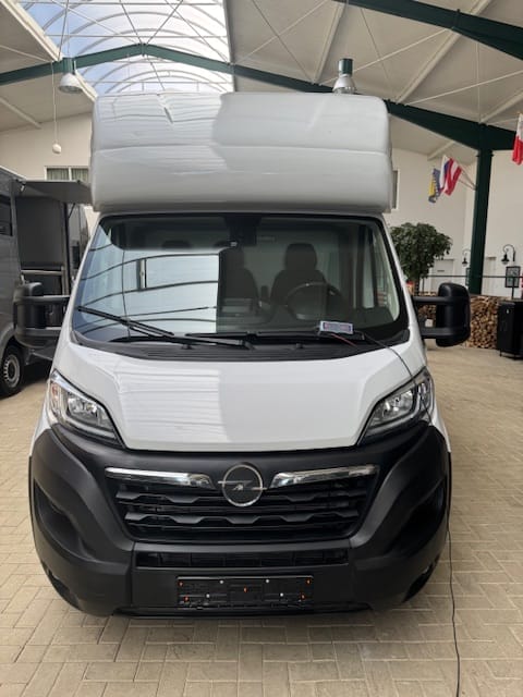 
								Opel Movano Hagstedt Stablehopper mit Saftey Concept Airbag full									